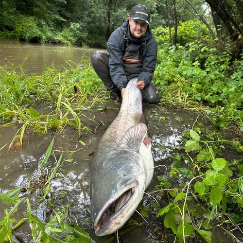 BESTANGLER angler catch photo