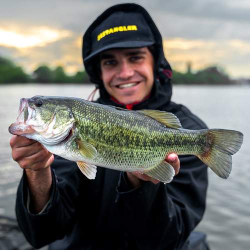 BESTANGLER angler catch photo