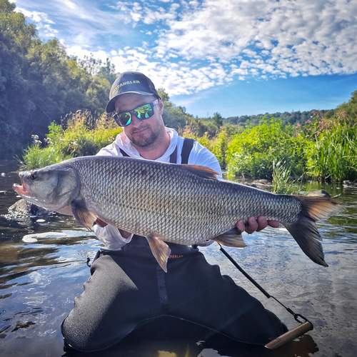 BESTANGLER angler catch photo