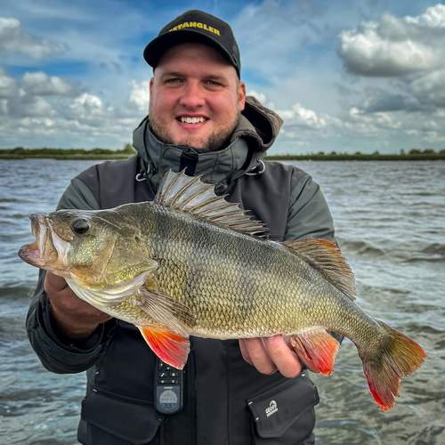 BESTANGLER angler catch photo