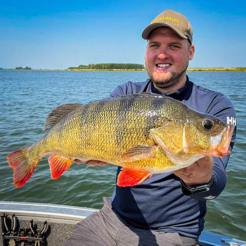 BESTANGLER angler catch photo