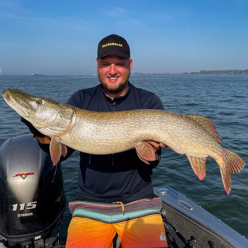 BESTANGLER angler catch photo