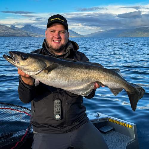 BESTANGLER angler catch photo