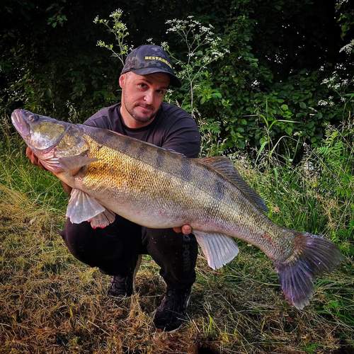 BESTANGLER angler catch photo