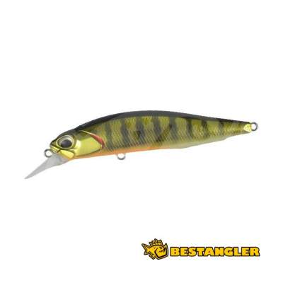 DUO Realis Rozante 77SP Gold Perch ASA3146